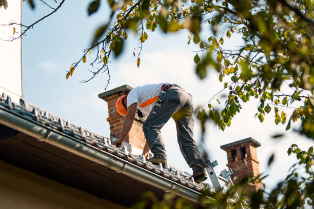 Best Metal Roofing Installation  in Powers Lake, WI